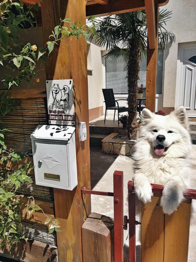 Jasmina Apartman Zengg Kültér fotó